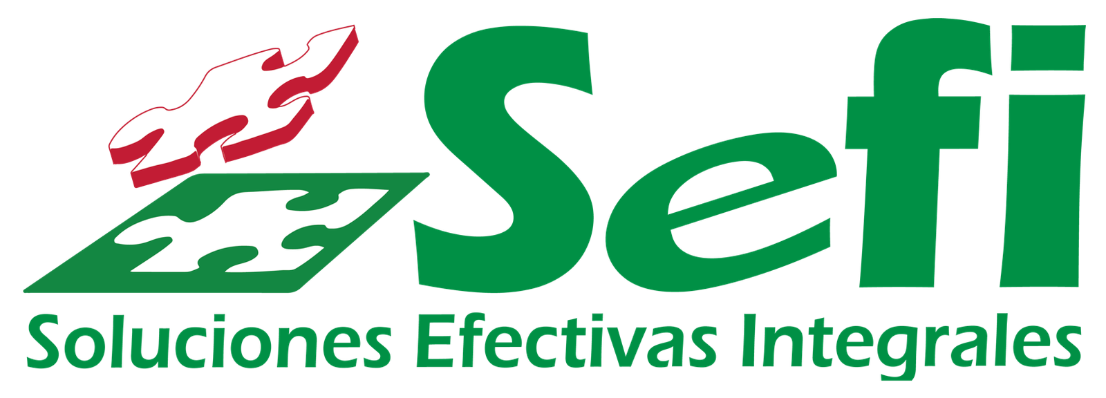 SEFI Logo